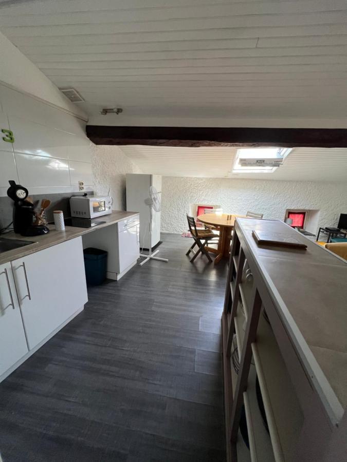 Appartement Au Coeur De Carcassonne Zewnętrze zdjęcie