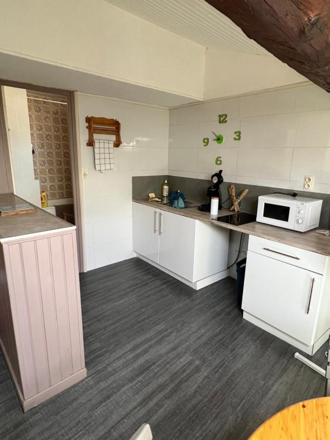 Appartement Au Coeur De Carcassonne Zewnętrze zdjęcie